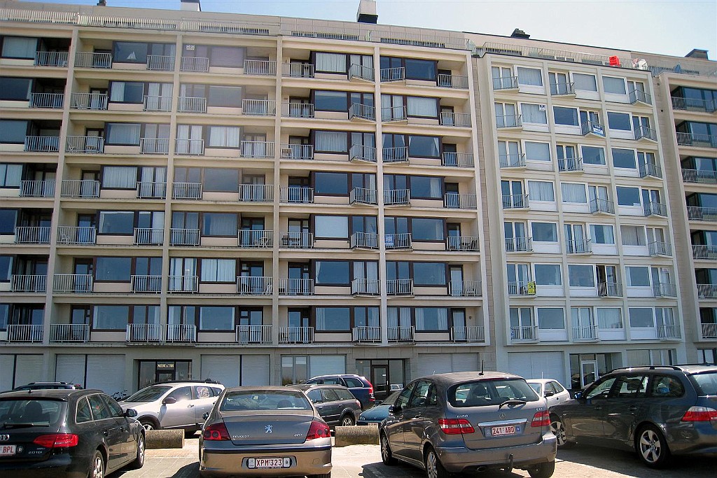 NP0512_1 (9).JPG